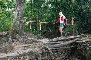 BIB: 
                            <button type="button" onclick="openModal(27803167)" class="btn btn-primary btn-sm float-right btn-popup" data-toggle="modal" data-target=".modal-high-quality">
                        <i class="fas fa-shopping-cart"></i> Add to Cart
                    </button>
                                            <button type="button" onclick="isThisMe(27803167, true)" class="btn btn-success btn-sm float-right btn-popup btn-isme hidden" data-toggle="tooltip" data-placement="bottom" title="นี่คือรูปของคุณใช่ไหม คลิกที่นี่เพื่อเอาเข้าอัลบั้ม">
                        <i class="fas fa-plus"></i> Add to album
                    </button>
                    <button type="button" onclick="isThisMe(27803167, false)" class="btn btn-warning btn-sm float-right btn-popup btn-isnotme hidden">
                        <i class="fas fa-ban"></i> Remove from album
                    </button>